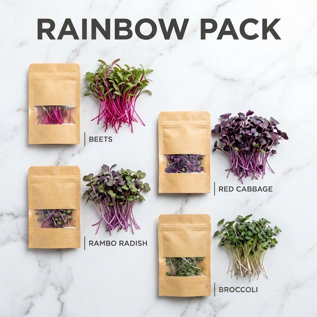 Rainbow Pack — Beets, Rambo Radish, Red Cabbage, and Broccoli microgreens