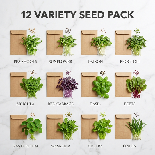 12 Variety Seed Pack