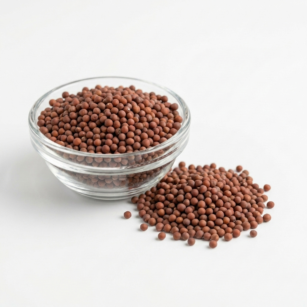 Daikon Radish Seed