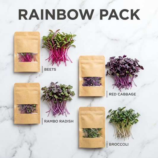 Rainbow Pack — Beets, Rambo Radish, Red Cabbage, and Broccoli microgreens